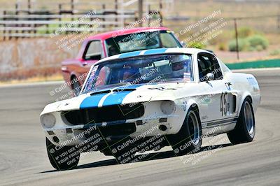 media/May-11-2025-Cobra Club (Sun) [[44ca44ec33]]/Passenger/